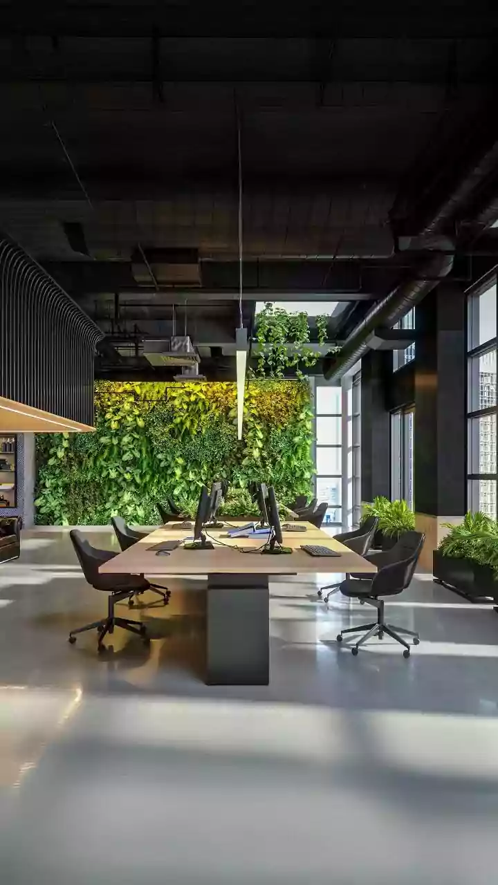 Mindful Leadership: Essential for Modern Workplaces