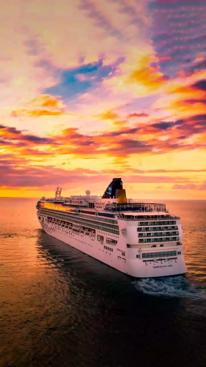What Is Hantavirus? Why Cruise Ship Cases Are Raising Alarm