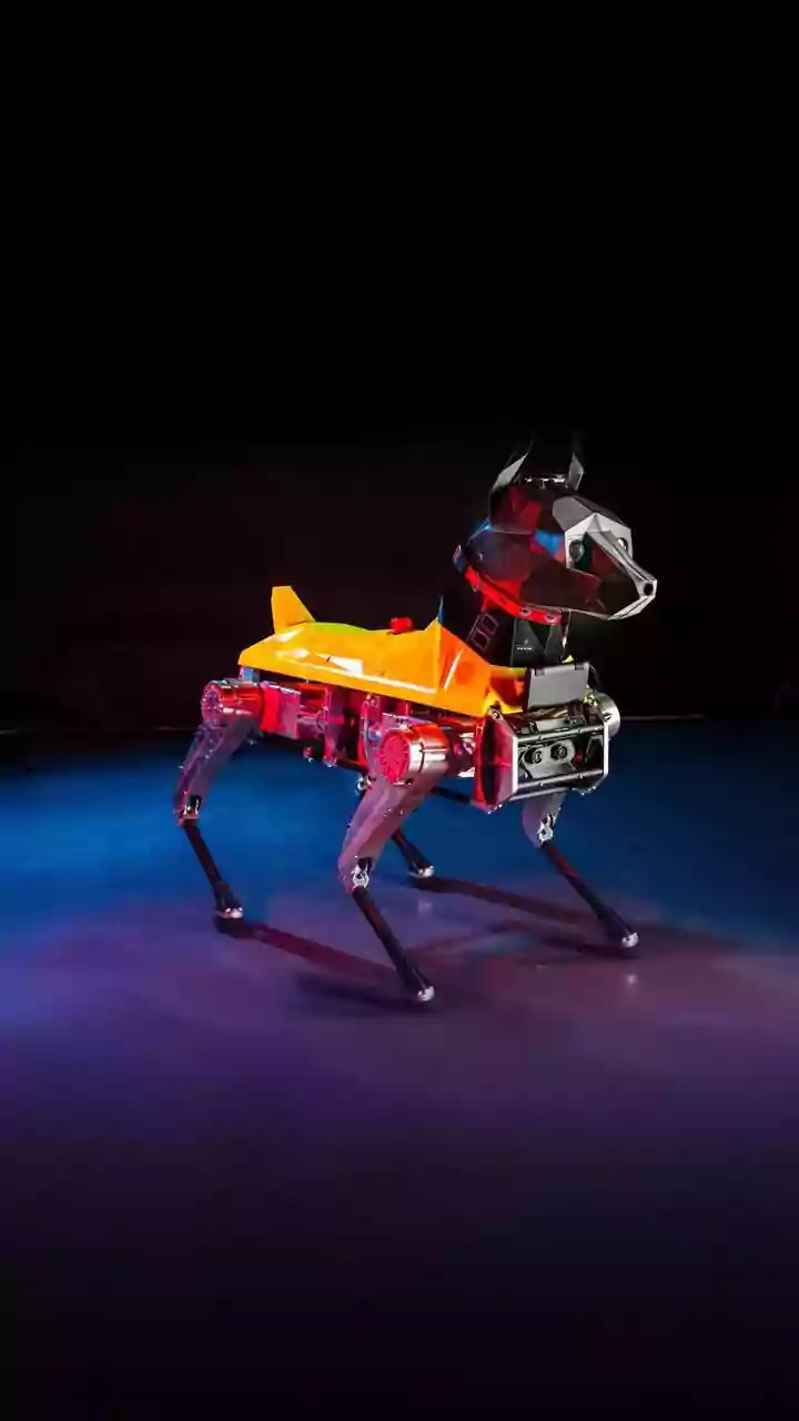 Elon Musk Robot Dog Roams Streets, Sparking Unsettling Reactions Online