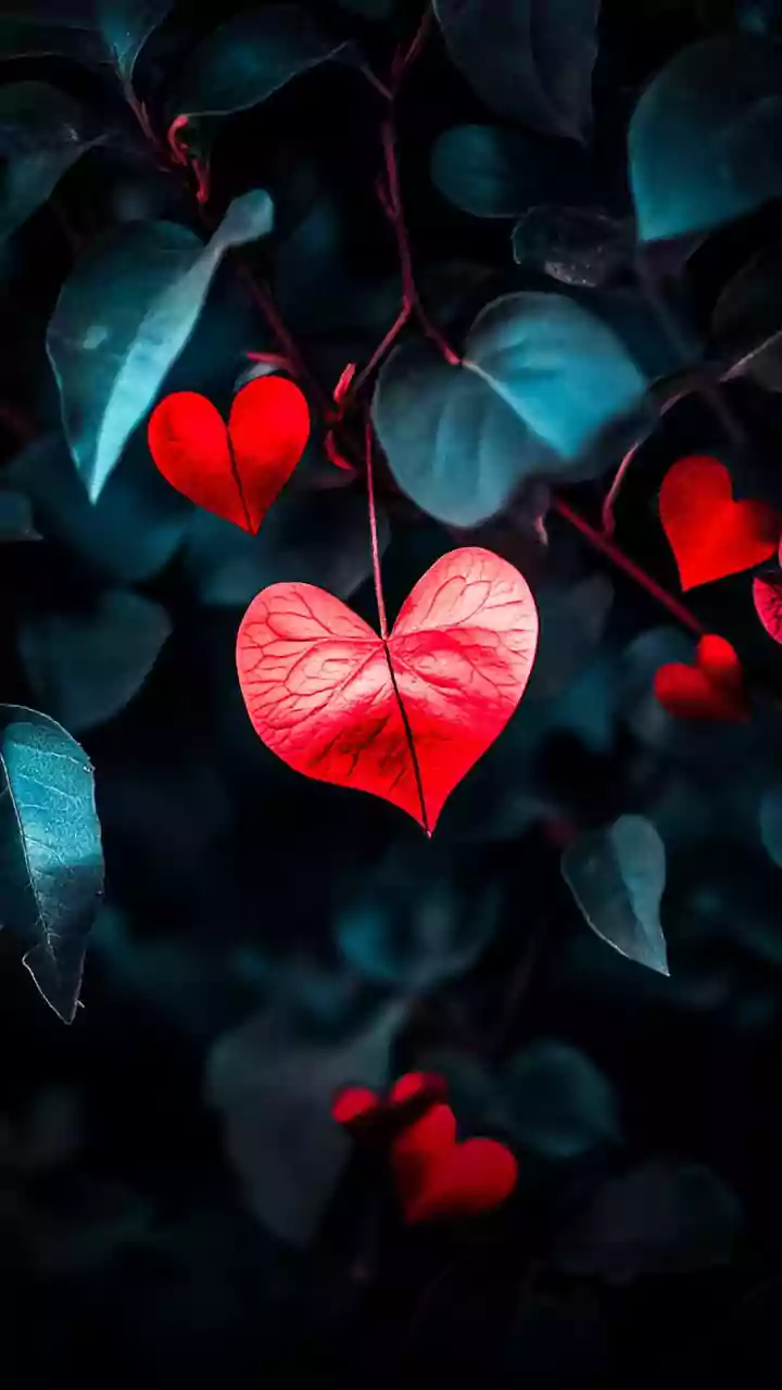 Related Stories banner