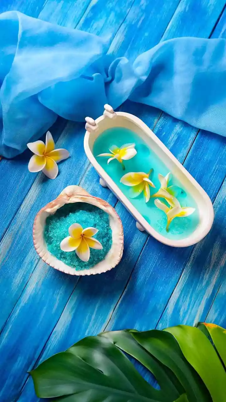 A Shell Garden Works Better with Matching Trays and Labels
