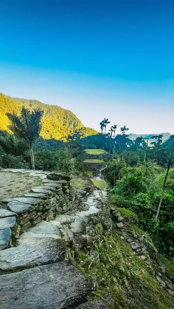 Peru Train Crash: One Dead, 40 Injured After Two Passenger Trains Collide Near Machu Picchu | Watch
