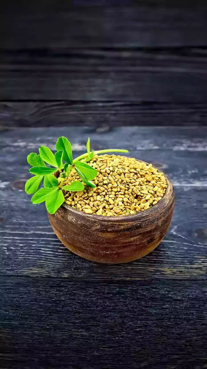 Green gram v/s horse gram: Which is better for you?