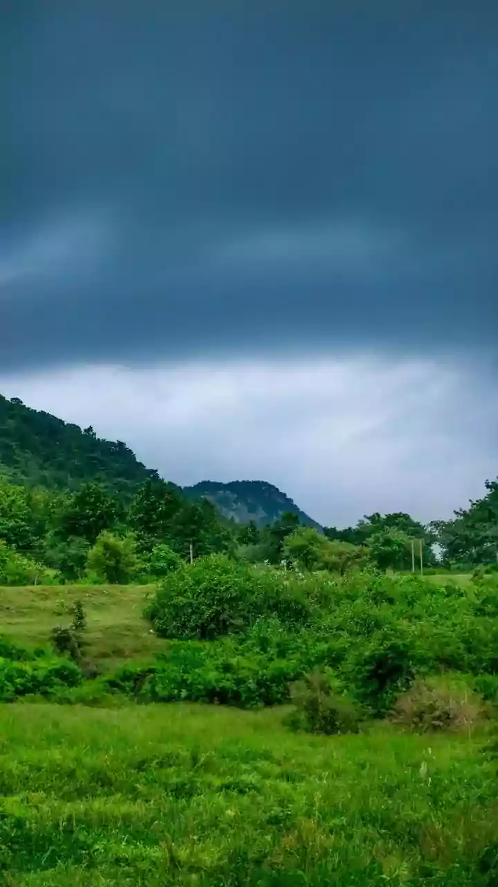 Thousands Displaced as Kerala's Monsoon Emergency Spreads Across Districts