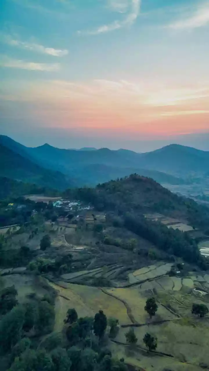 How Climate-Driven Rainfall Changes May Be Affecting Forests Across India
