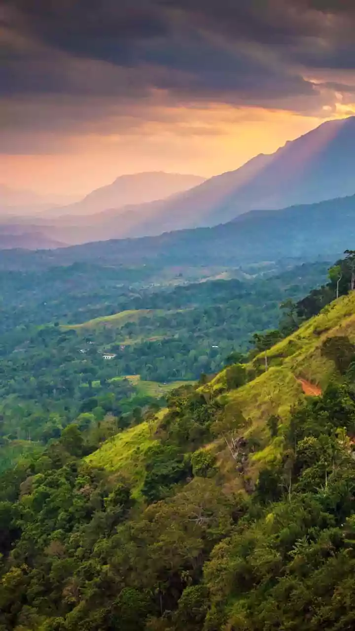 Kandy To Ella Train Ride Captivates Indian Tourists Seeking Budget Adventures