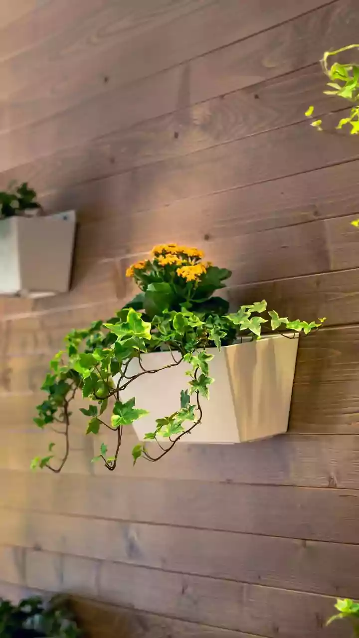 Maximize Limited Apartment Space With Sleek Vertical Wall Planters