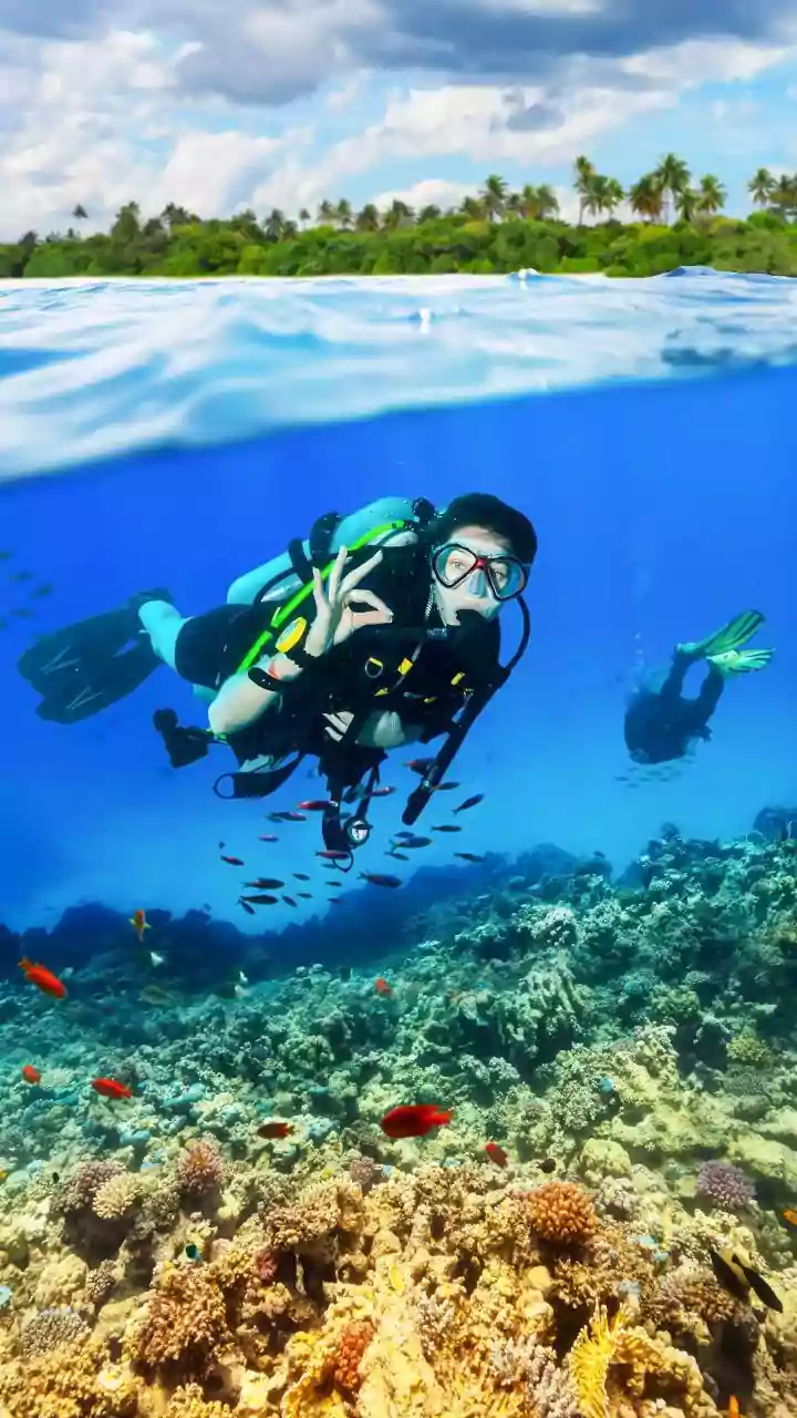 How Clear Island Waters Make The Andamans A Premier Destination For Scuba Diving Enthusiasts
