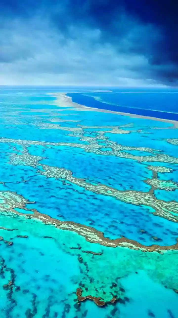 A Travel Creator Maps Queensland's Best Adventures for Indian Tourists