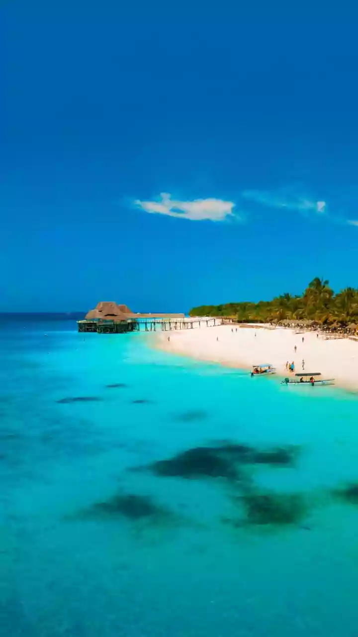 Aruba's Best Beaches: Sun, Sand, and Sea Adventures