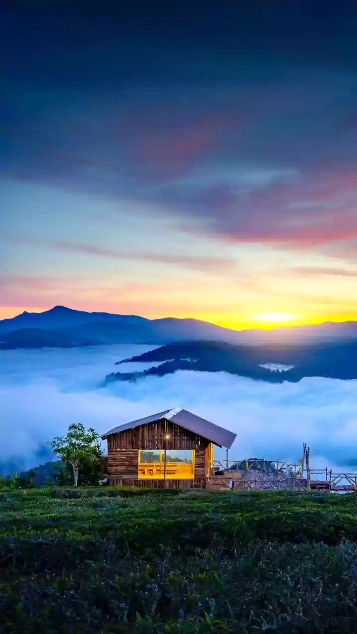 Honeymoon Couples Fall In Love With Munnar Cozy Wooden Cabins