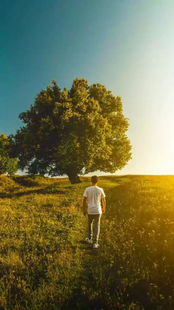 Why a Consistent Walking Ritual Can Feel Mentally Grounding