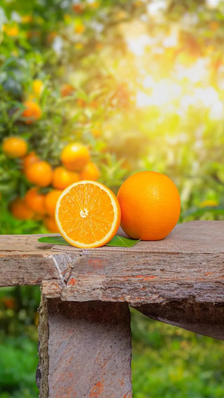 How Combining Vitamin C With Plant Iron Boosts Bioavailability And Daily Energy