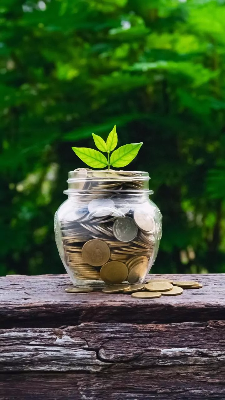 SoftBank's Blank Check Bonanza: A Billion-Dollar Dive