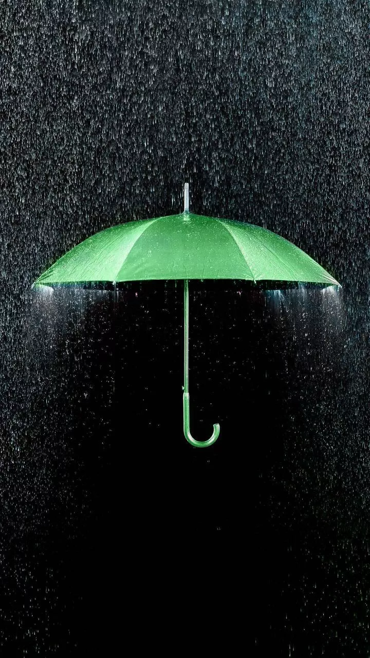 IMD warns of heavy rainfall in south India; Delhi dry