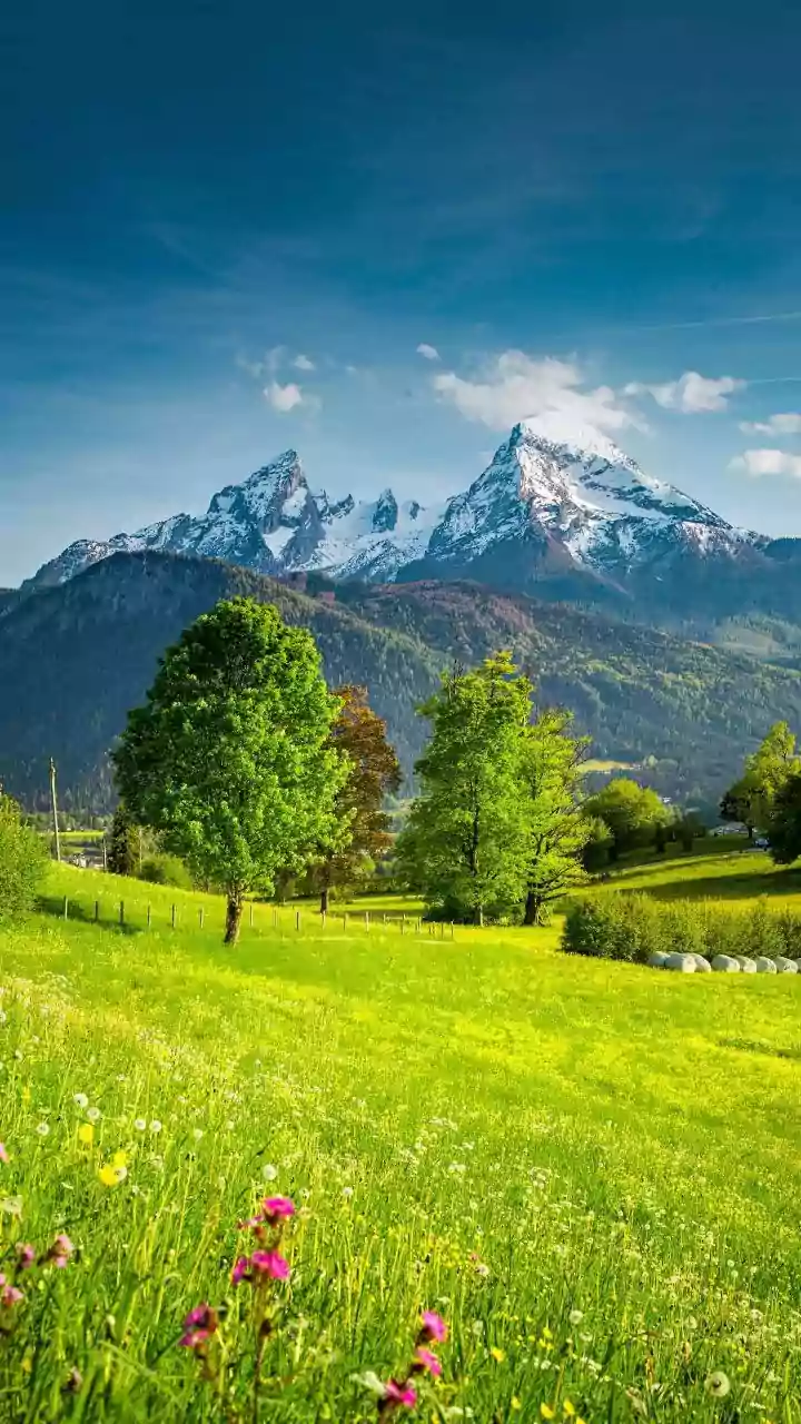 Most scenic wildflower meadows in Germany: A list