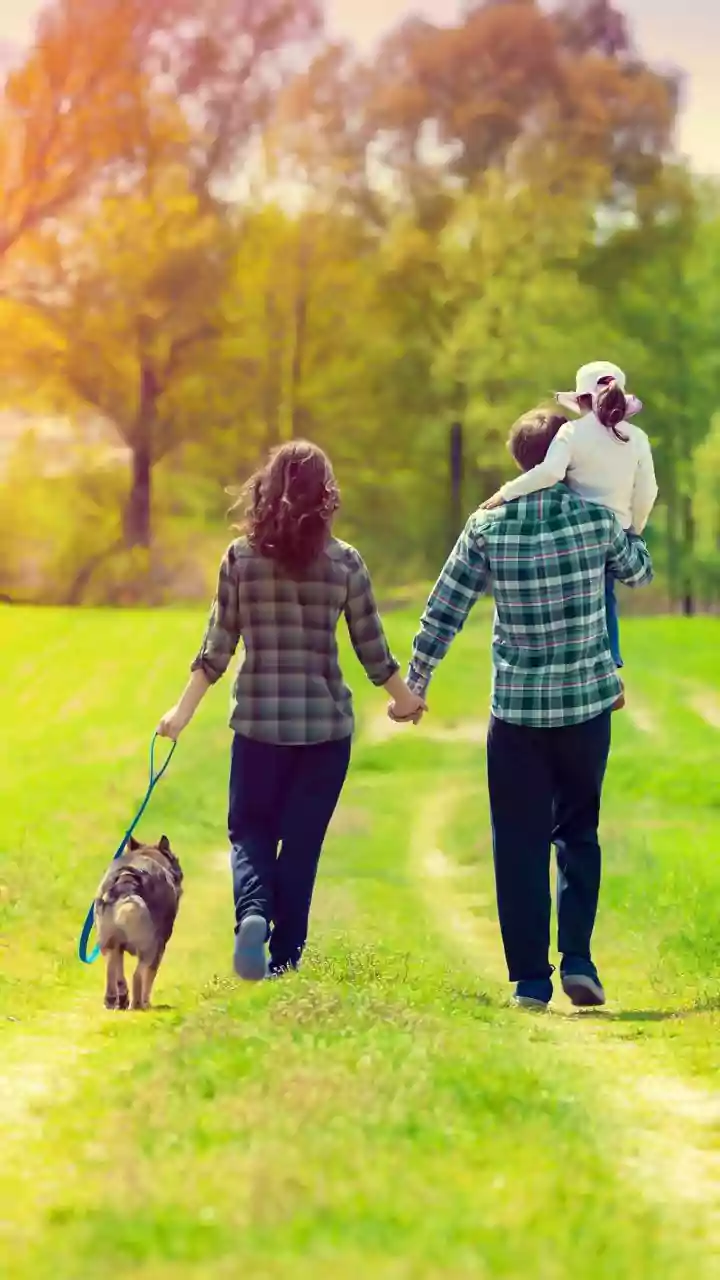 Indian Families Are Taking Pets On Proper Holidays