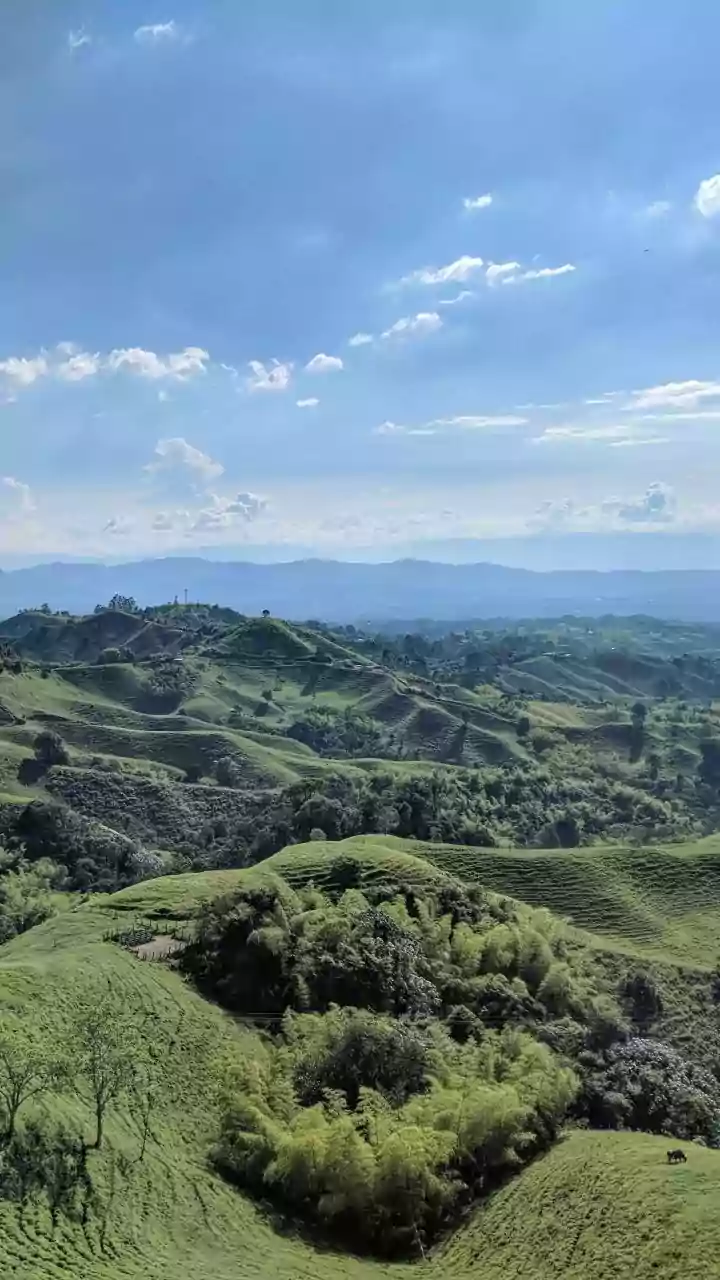 Green Landscapes Make Holidays Feel Healthier