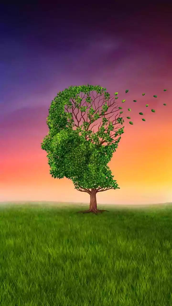 10 Powerful Signs of Emotional Maturity: A Psychological Guide