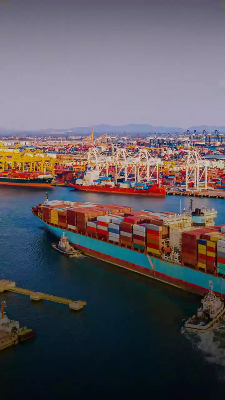 India’s exports up 0.61% in January 2026: trade deficit at $34.68bn