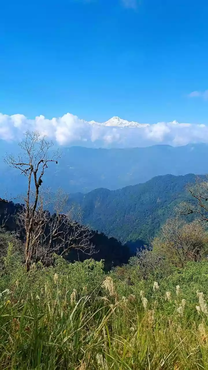 Sikkim BJP Spokesperson Quits Over Leadership