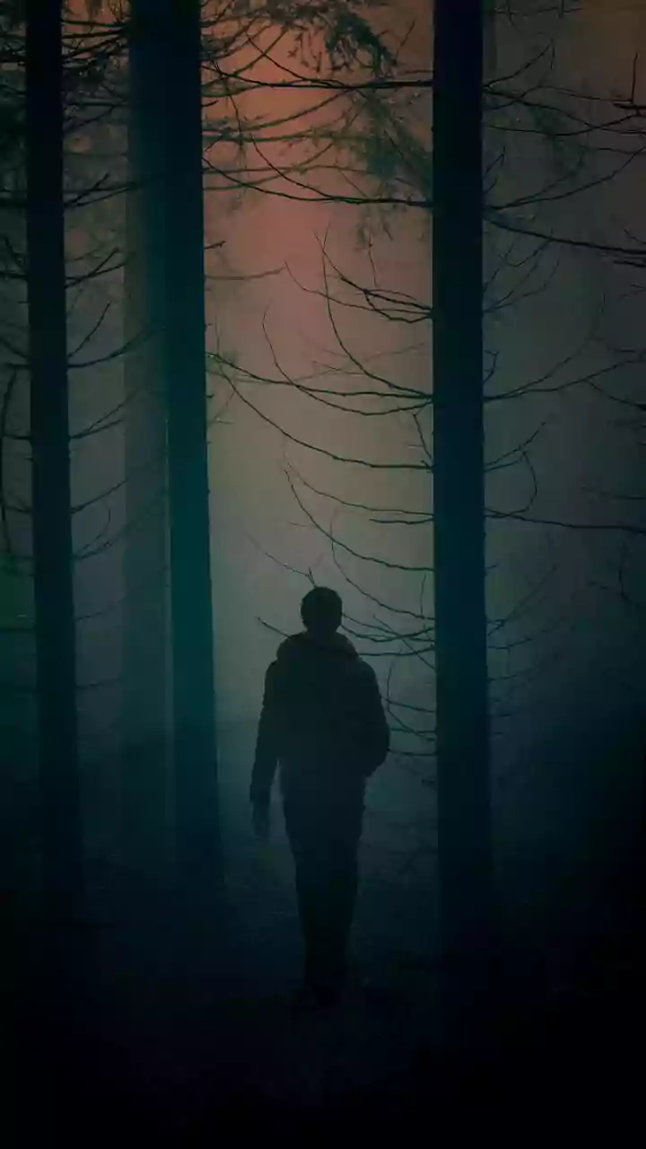 Top 10 Horror Films That Chilled Audiences in 2025