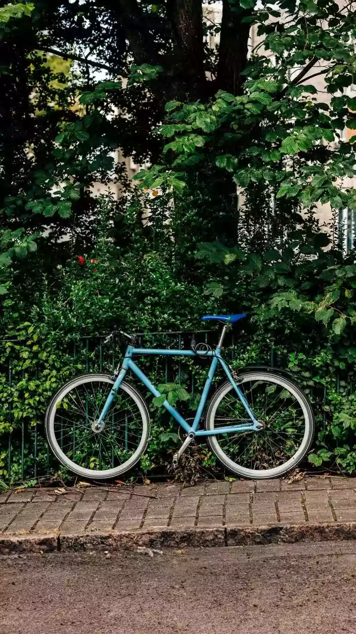 Do esporte ao uso diário: quando a bicicleta deixa de ser só lazer
