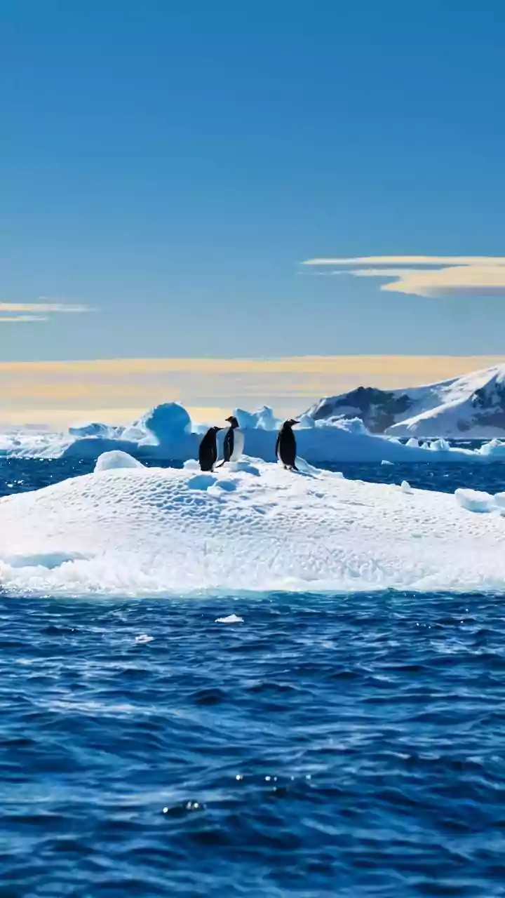 Antarctica’s Low Sea Ice Could Expose Ice Shelves To Rougher Ocean Conditions