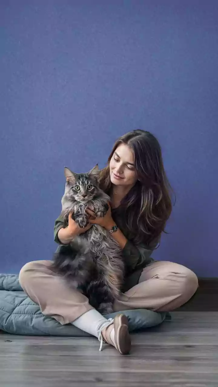 Why Indian Pet Owners Invest In Custom Vet-Approved Nutrition