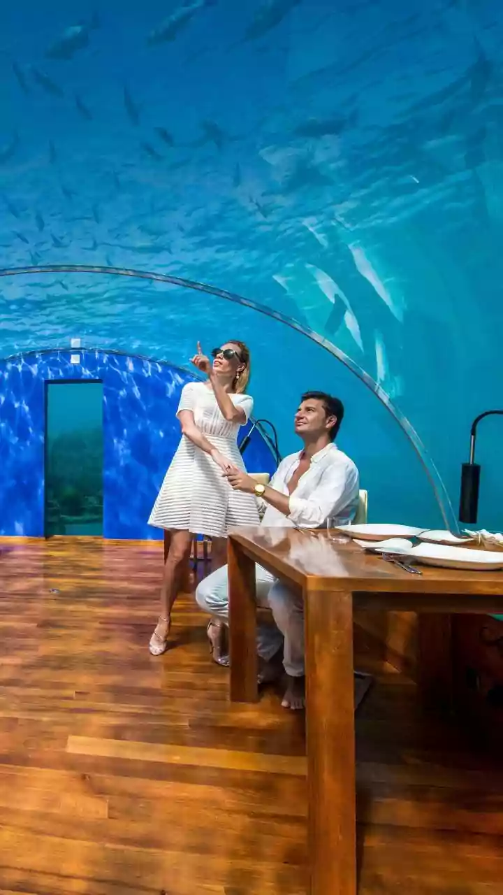 Dive into Dreamland: 10 Extraordinary Hotels Where You Sleep Beneath the Waves
