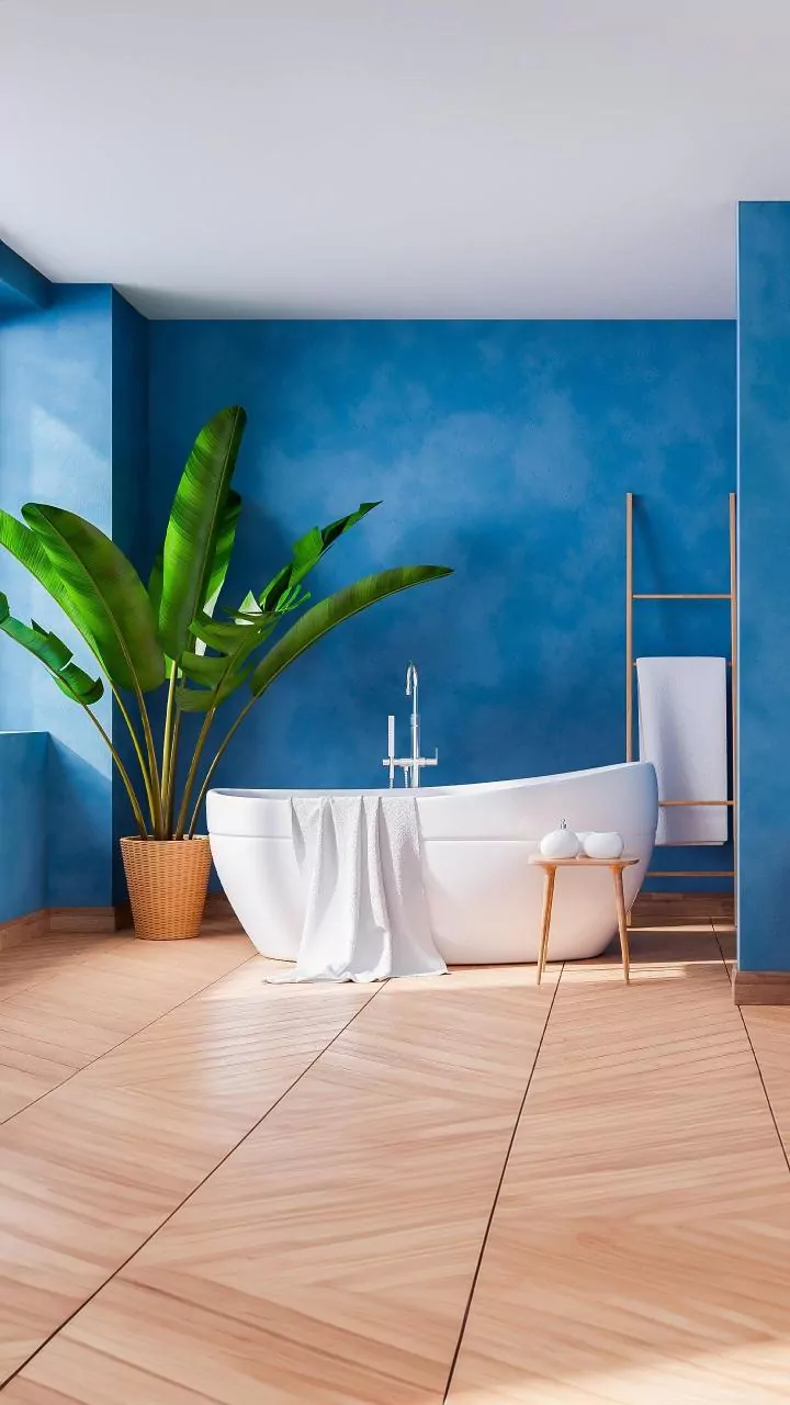 How to Prevent and Remove Mould in Indian Homes