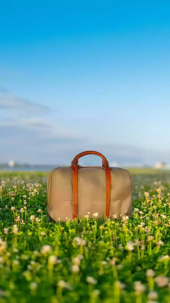 The Perfect Spring Travel Satchel: Luxe Style Without the Designer Price Tag