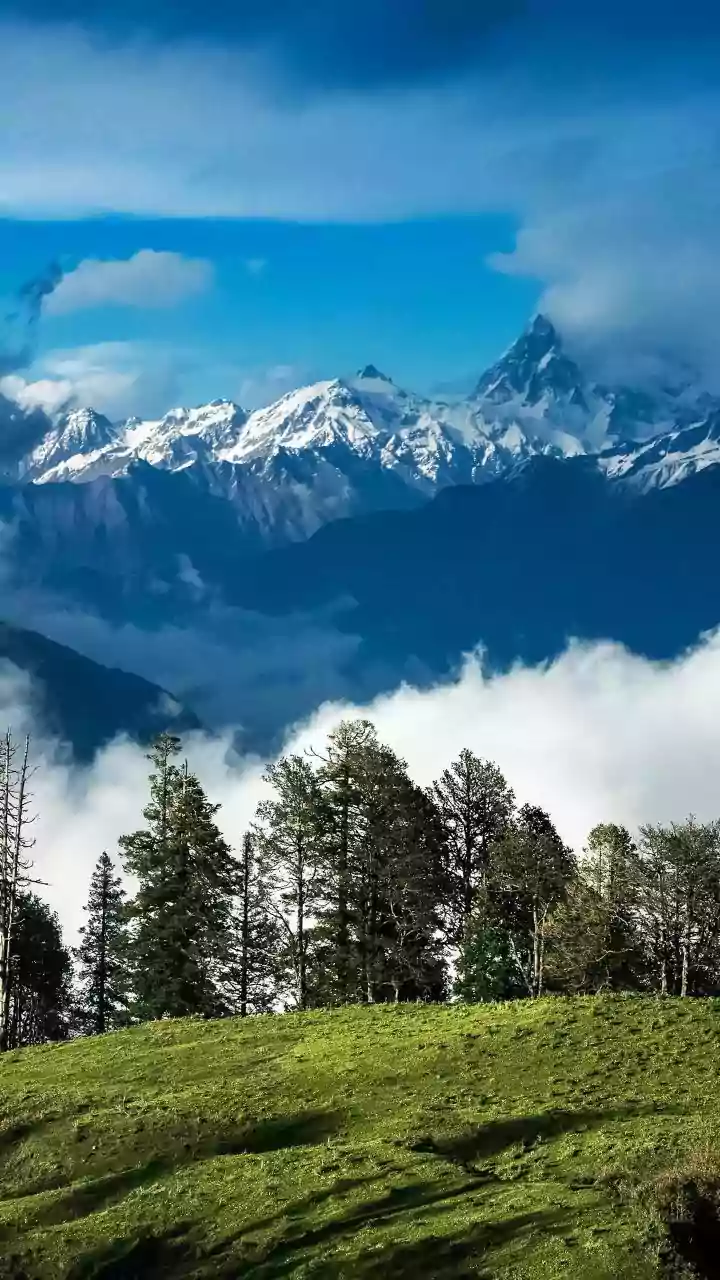 10 Escape Havens: Delhi-NCR's Winter Air SOS