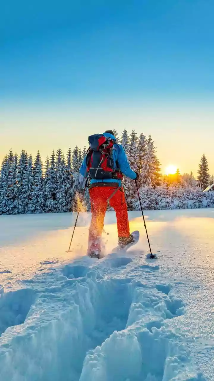 Embrace the Low-Snow Season: Clever Strategies for a Memorable Ski Getaway