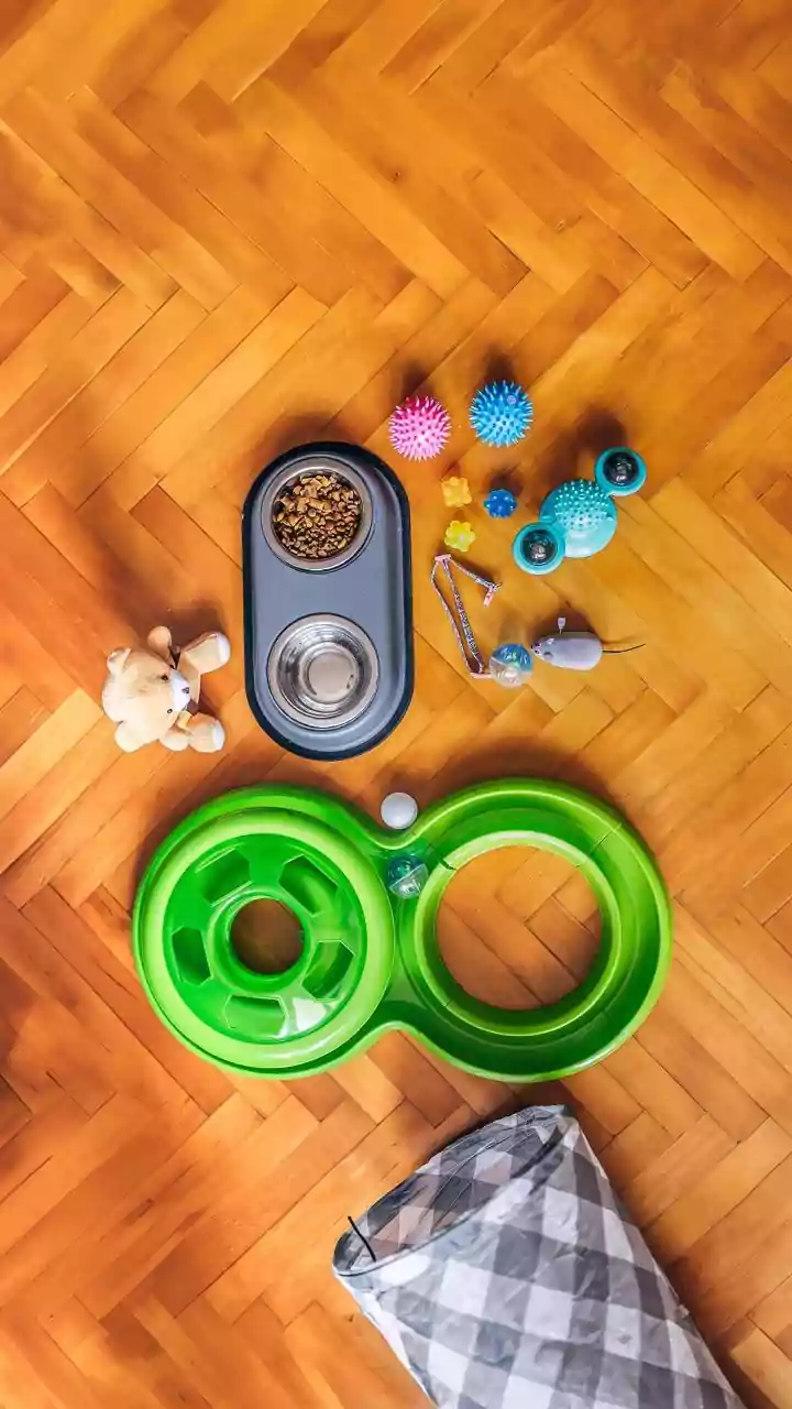 Tiny Helpers: Why Toddlers Love Assisting with Chores and What It Means