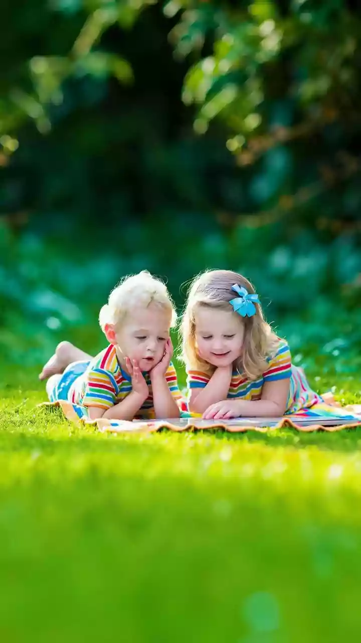 How Phonic Books Support Strong English Reading Skills in Kids?