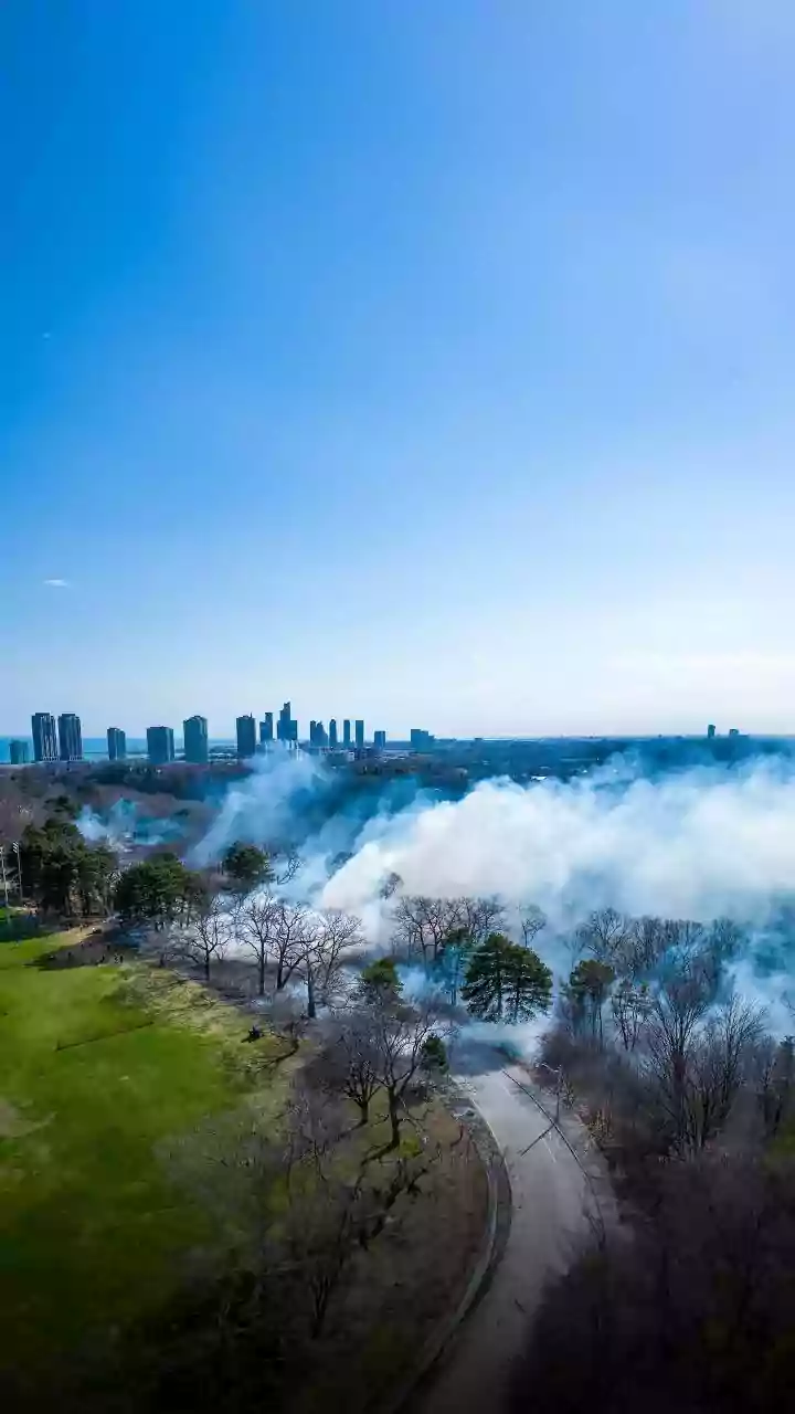 Tragic Firecracker Factory Blast in Tamil Nadu Claims 16 Lives, Injures Six