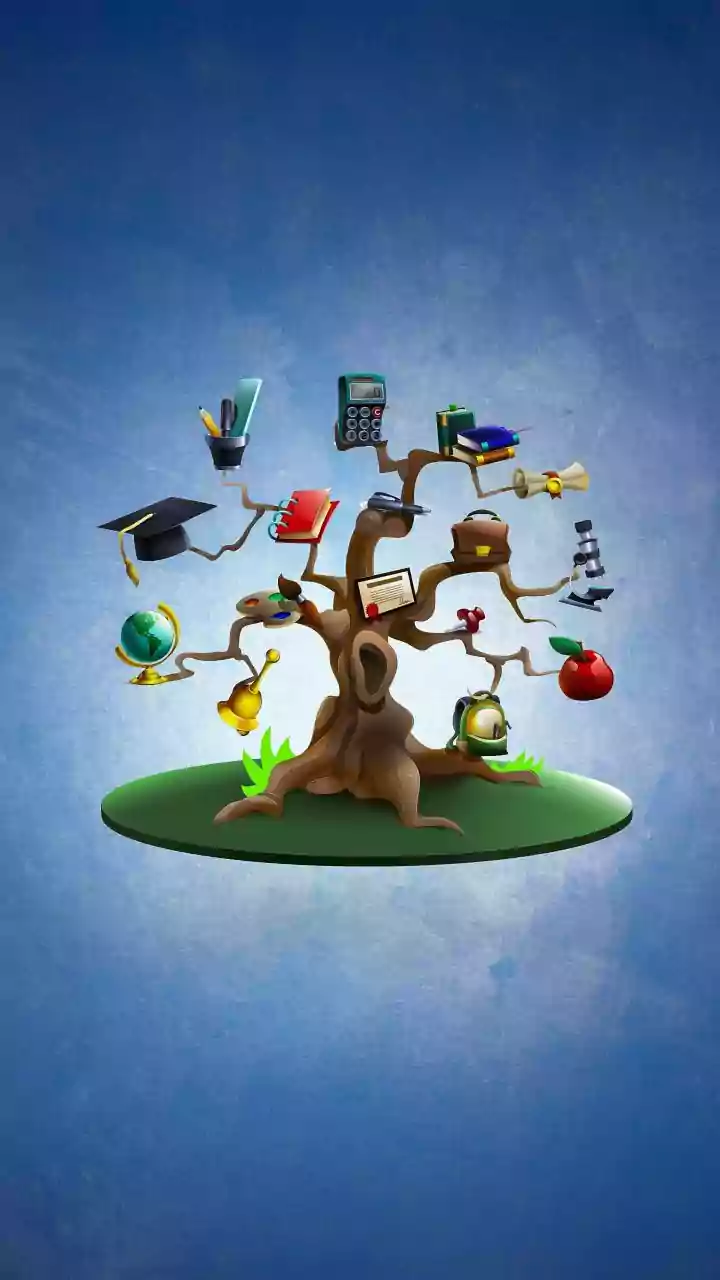 2025: A Landmark International Year for Brainobrain