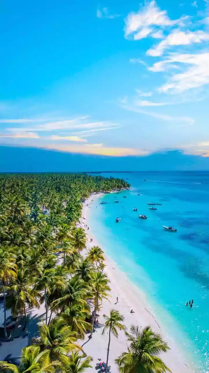 NIDM Highlights Disaster Preparedness for Tamil Nadu's Coastal Risks