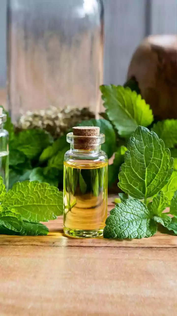 Herbal Steam And Sinus Relief Claims Explained: Why Essential Oils May Not Suit Everyone