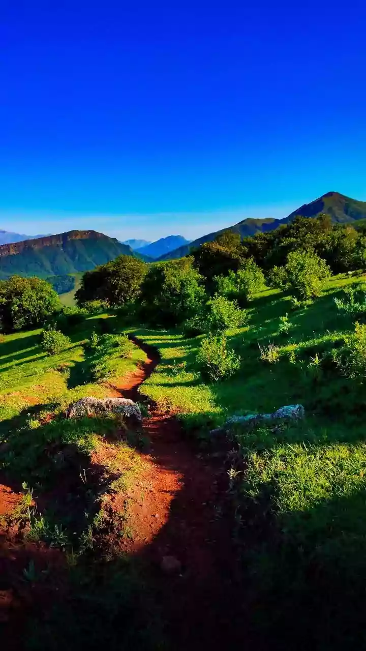Discovering Nandi Hills, Skandagiri, and Savandurga: Perfect weekend trekking trails near Bengaluru for nature lovers