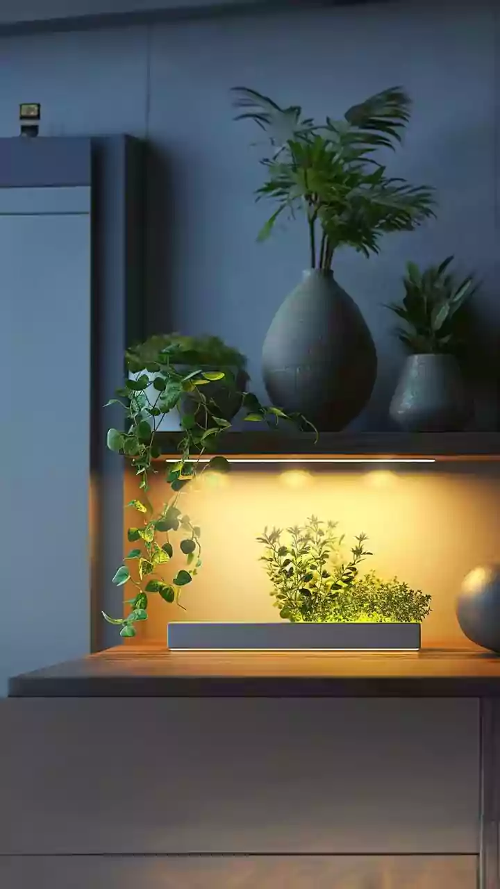 Growing Herbs At Home Is Becoming More Accessible For Apartment Dwellers With Limited Outdoor Space