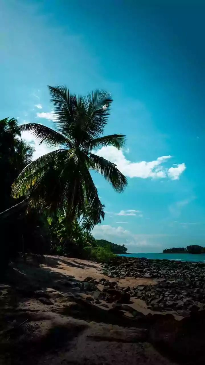 Digital Nomads Head To Palolem Co Working Spaces For Discounted Passes