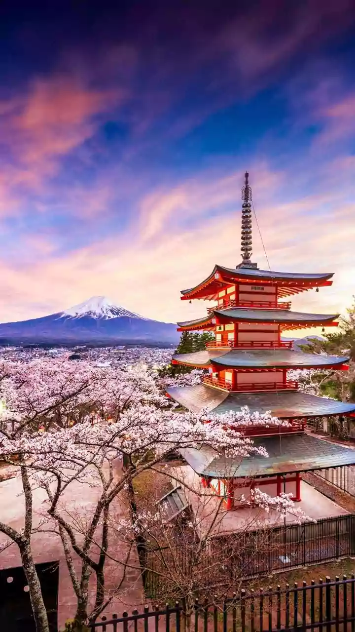 What Local Etiquette Should Travellers Know Before Visiting Japan?