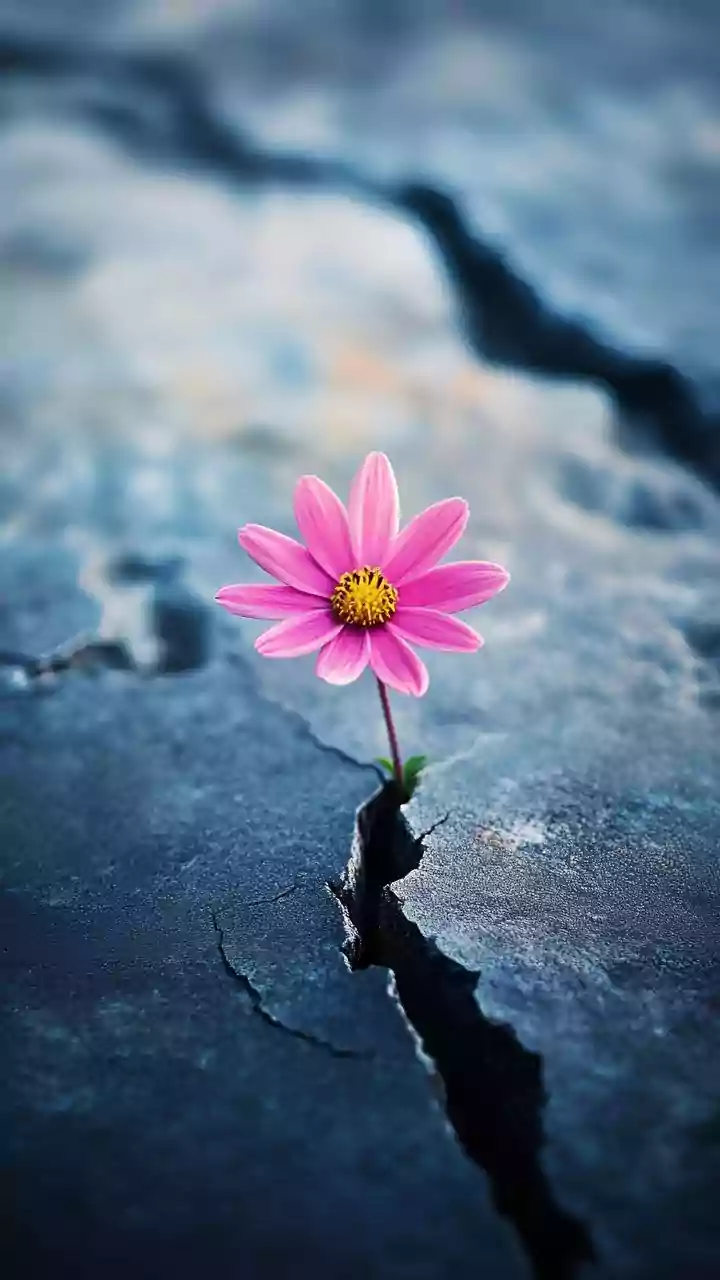 Navigating the Emotional Terrain of Injury and Setbacks