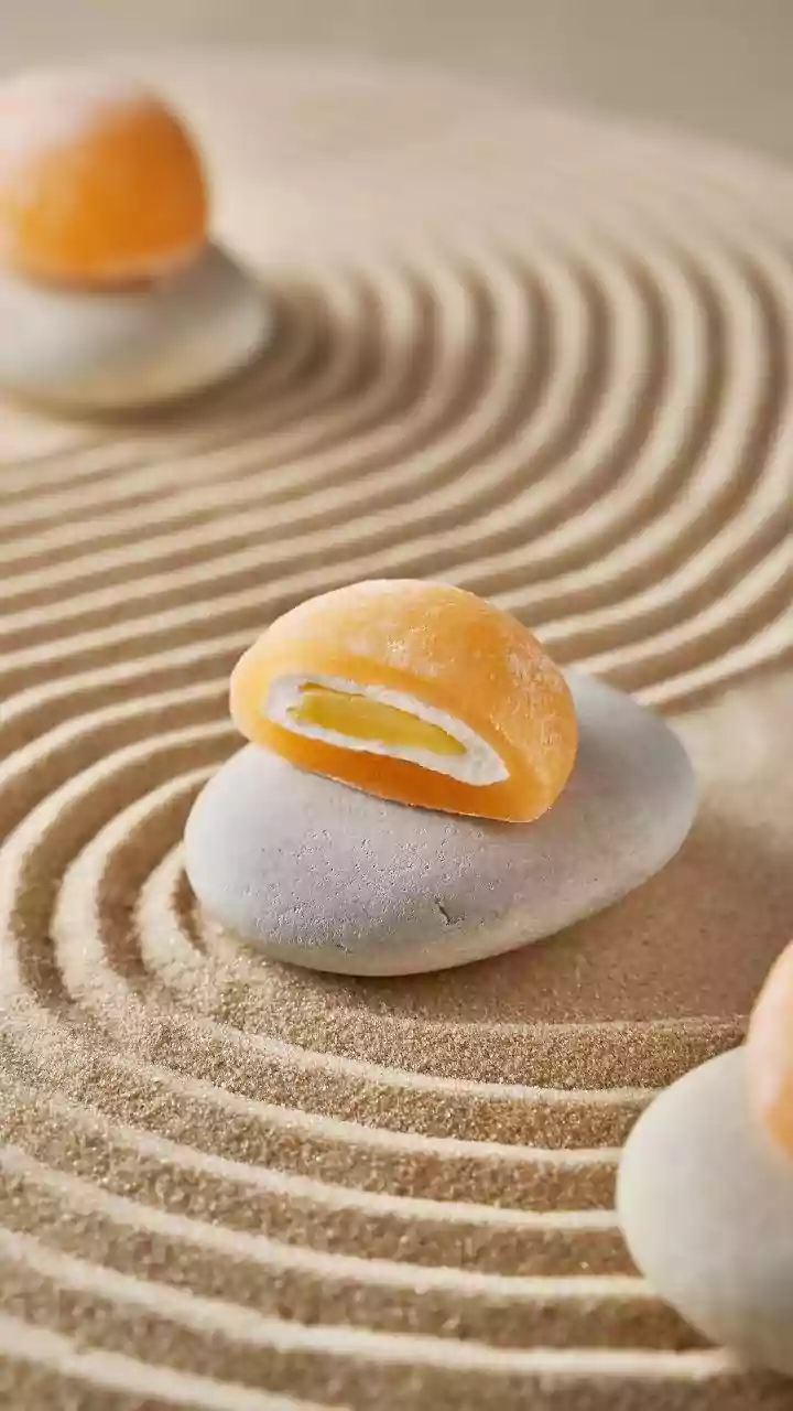 Design Sustainable Indoor Zen Gardens Using Smooth River Pebbles