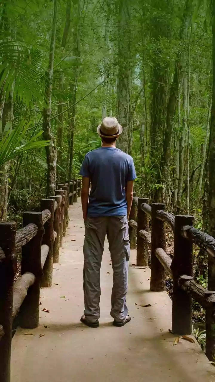 How Young Indians Can Plan A Budget Holiday To Chiang Mai And Krabi