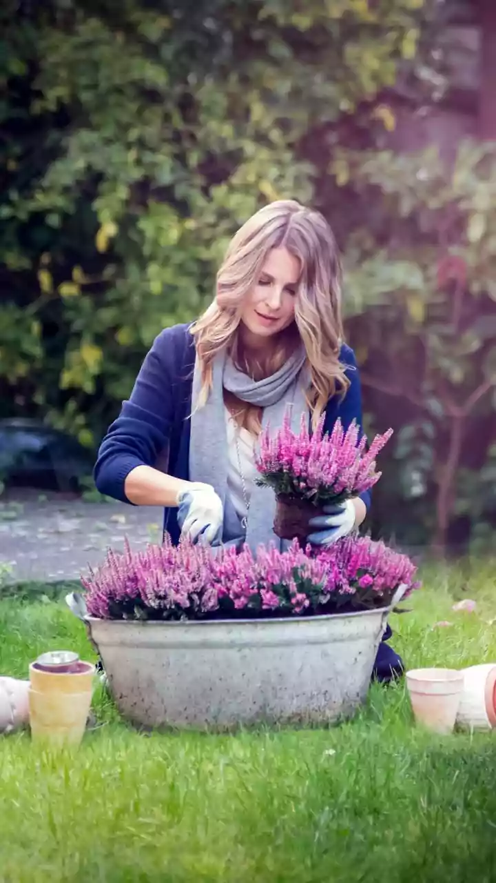 Smart Filler Secrets: Economical Ways to Fill Large Planters