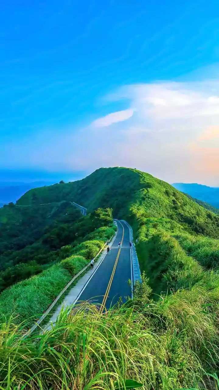 Why Early Winter Is The Best Season For Road Trips From Bengaluru To Coorg