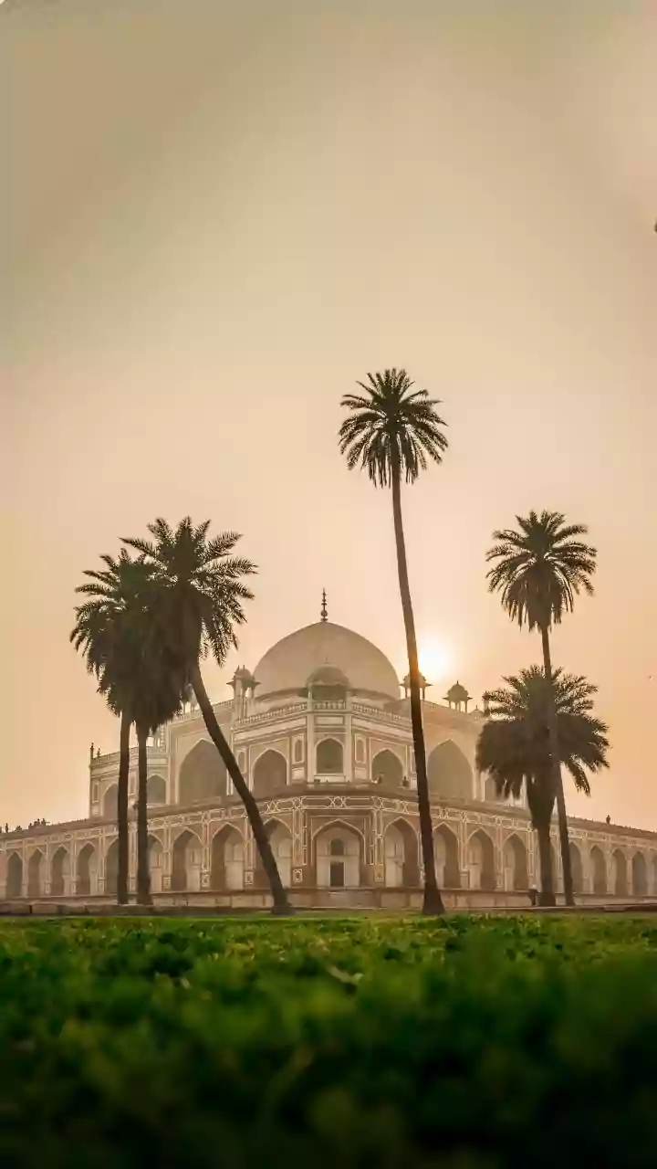 Tips To Keep Your Lungs Healthy During Winter Smog In Delhi-NCR